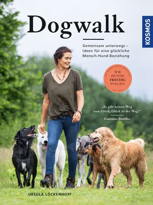 Dogwalk. Wie Hunde freudig folgen