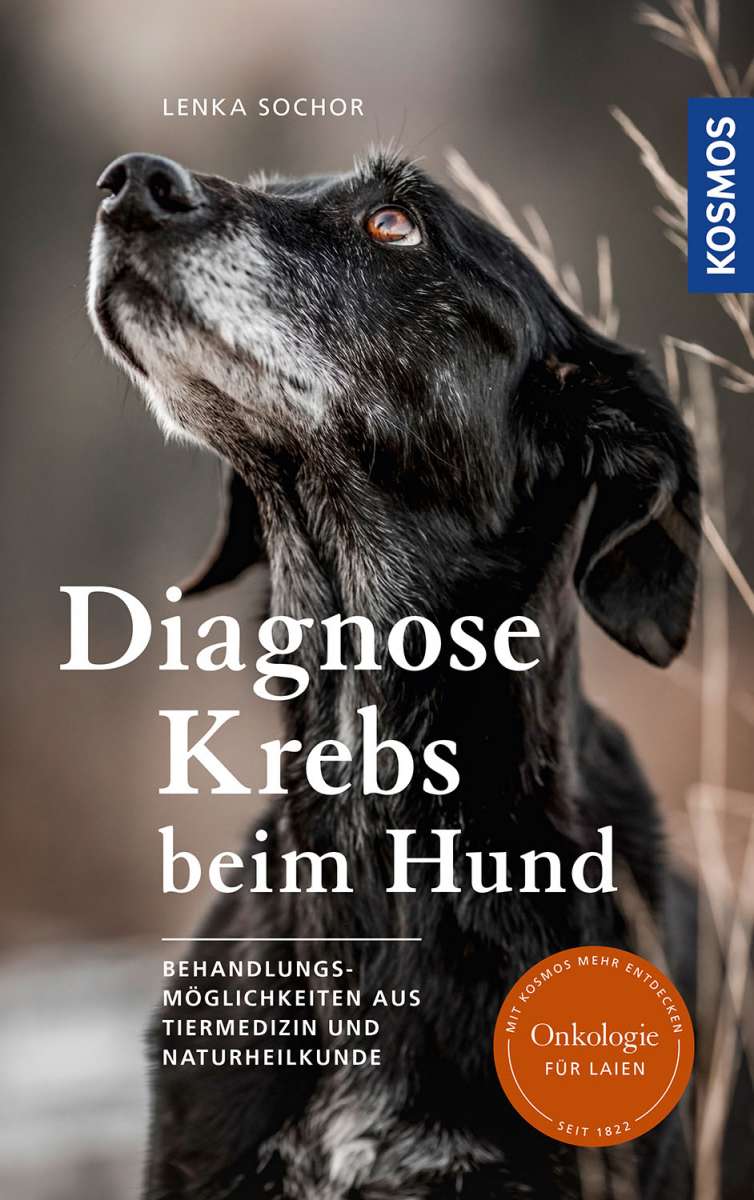  Diagnose Krebs beim Hund. Behandlungsmöglichkeiten aus Tiermedizin und Naturheilkunde